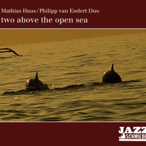 Mathias Haus/ Philipp van Endert Duo - Two above the open sea (CD)